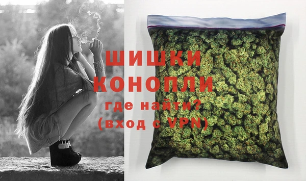 индика Аркадак