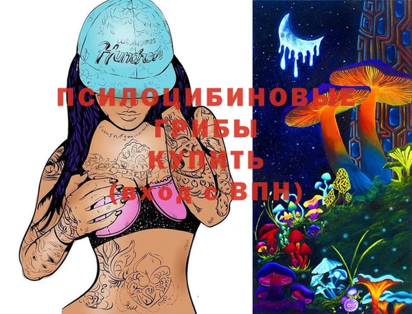меф Арсеньев