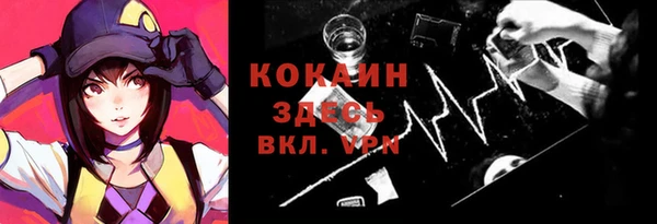 индика Аркадак