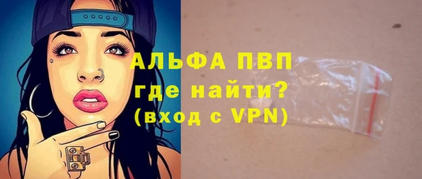 индика Аркадак