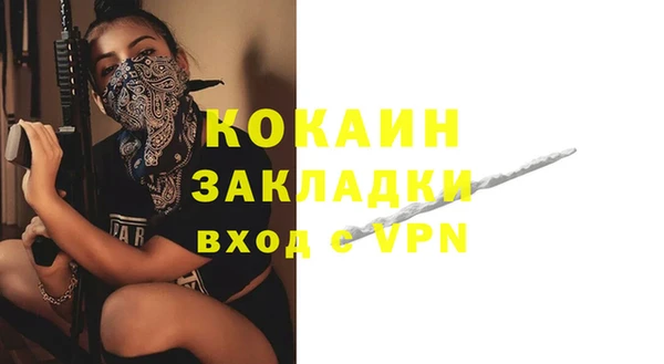 индика Аркадак