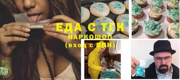 индика Аркадак