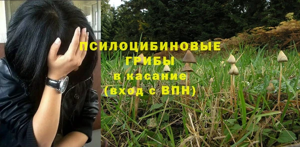 ГАЛЛЮЦИНОГЕННЫЕ ГРИБЫ Армянск