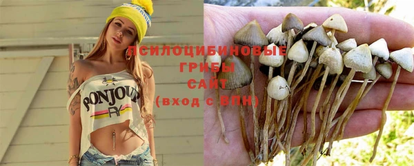 индика Аркадак
