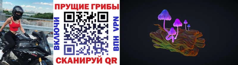 купить наркотики сайты MEGA tor Псилоцибиновые грибы Magic Shrooms Нарьян-Мар