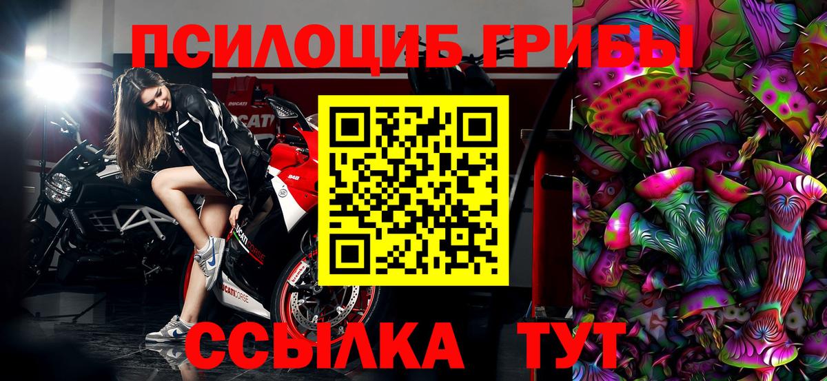 Галлюциногенные грибы Psilocybine cubensis Нарьян-Мар