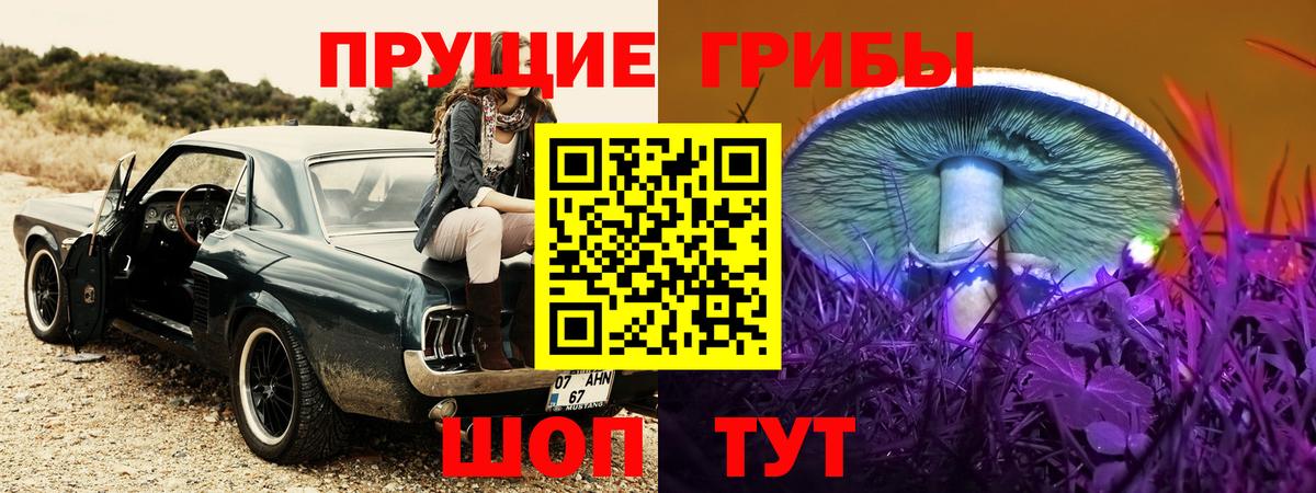 Псилоцибиновые грибы мицелий  купить наркоту  Нарьян-Мар  Вход с VPN 